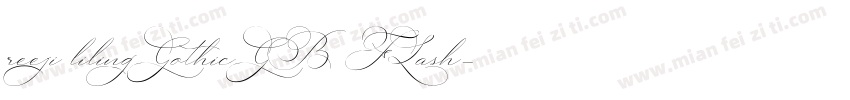 reeji lilingGothicGB FLash字体转换